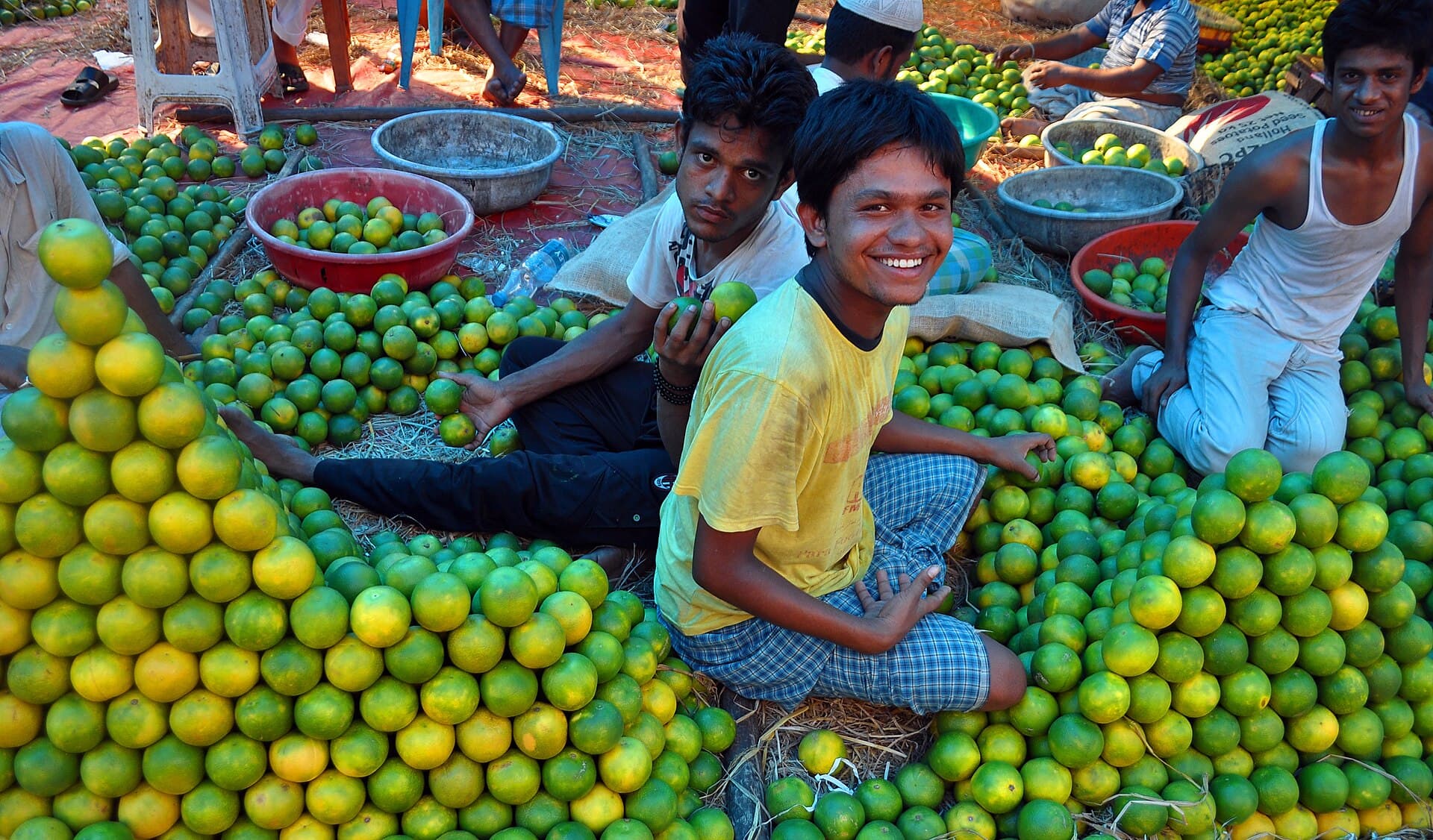 Workers grading mosambi into lots at the wholesale fruit market
