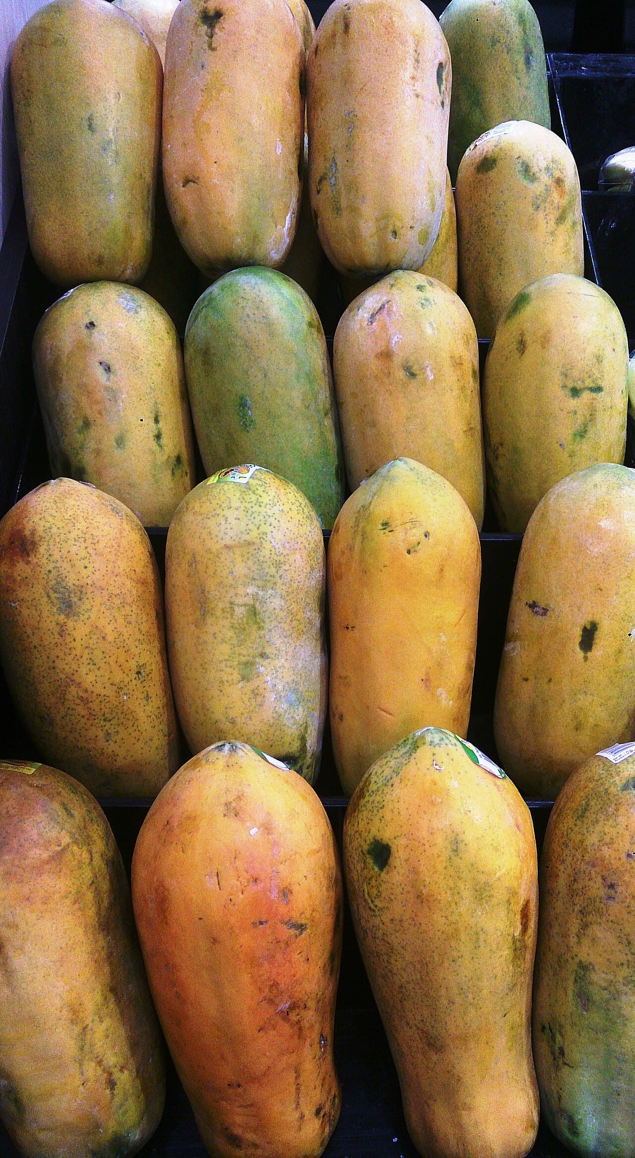 Rows of ripe papayas stacked on market shelves