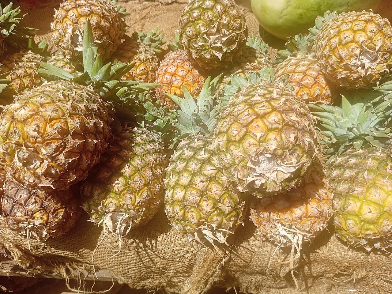 Pineapple